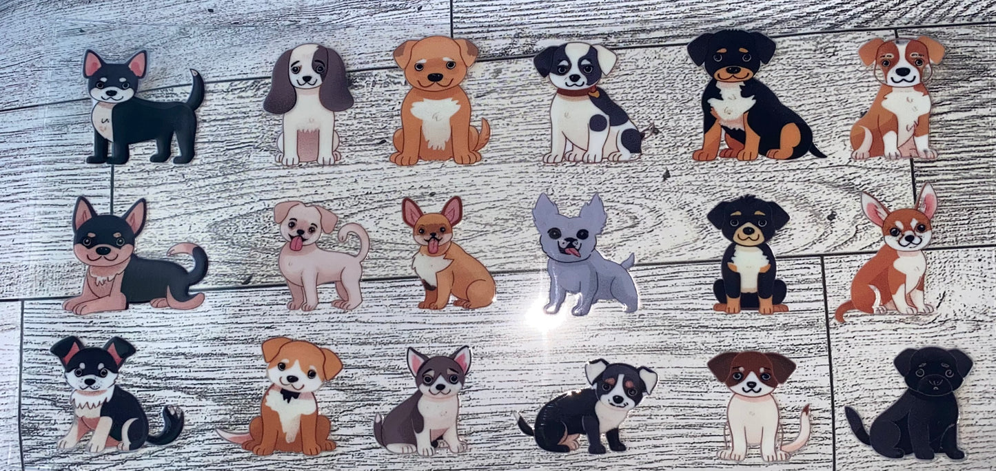 animals67