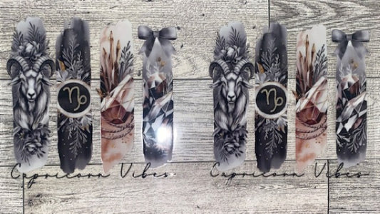Capricorn 3