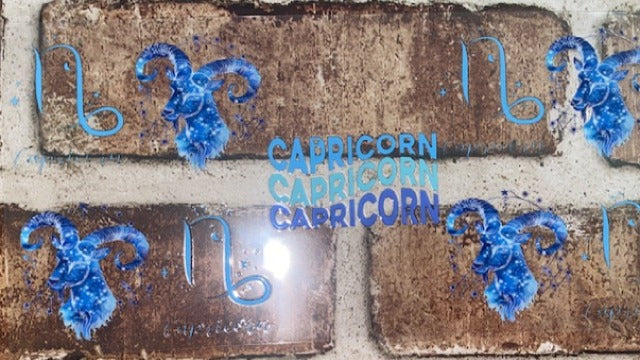 Capricorn 2