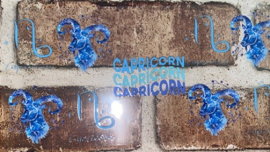 Capricorn 2