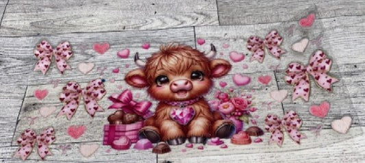 animals17