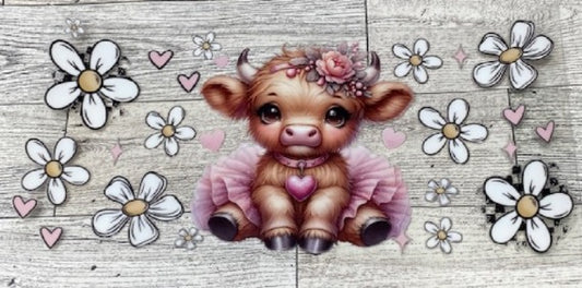 animals 12