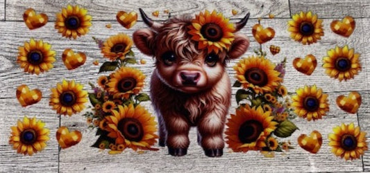 animals 8