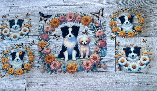 animals36