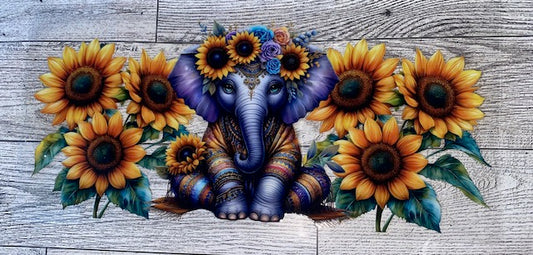 animals38
