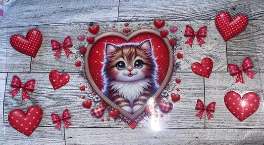 animals61