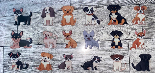 animals67