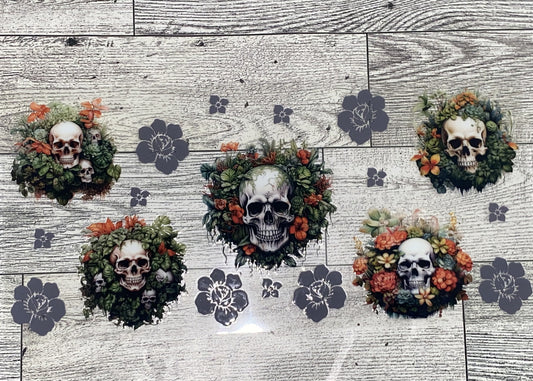 Skulls