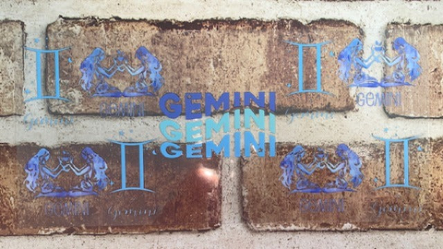 Gemini 1